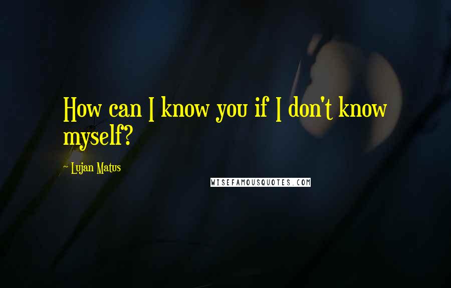 Lujan Matus Quotes: How can I know you if I don't know myself?