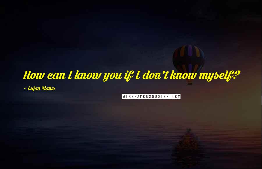 Lujan Matus Quotes: How can I know you if I don't know myself?