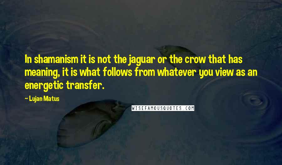 Lujan Matus Quotes: In shamanism it is not the jaguar or the crow that has meaning, it is what follows from whatever you view as an energetic transfer.