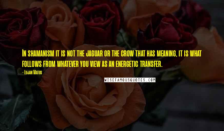 Lujan Matus Quotes: In shamanism it is not the jaguar or the crow that has meaning, it is what follows from whatever you view as an energetic transfer.