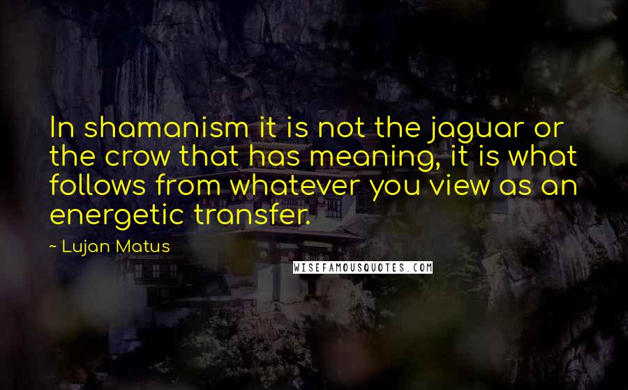 Lujan Matus Quotes: In shamanism it is not the jaguar or the crow that has meaning, it is what follows from whatever you view as an energetic transfer.