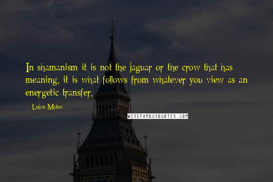 Lujan Matus Quotes: In shamanism it is not the jaguar or the crow that has meaning, it is what follows from whatever you view as an energetic transfer.