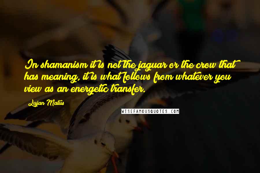 Lujan Matus Quotes: In shamanism it is not the jaguar or the crow that has meaning, it is what follows from whatever you view as an energetic transfer.