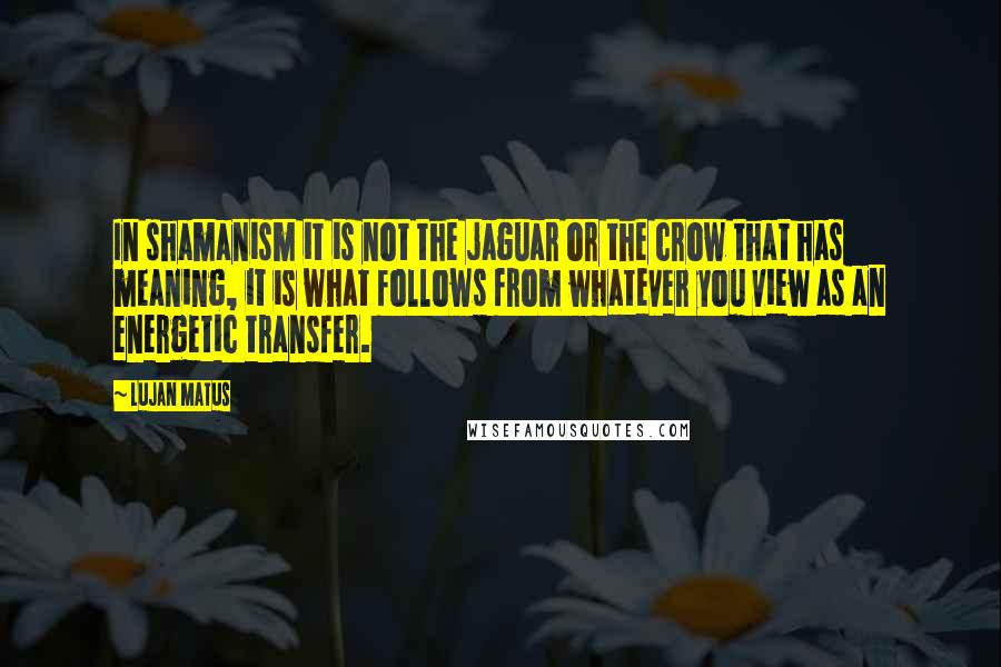 Lujan Matus Quotes: In shamanism it is not the jaguar or the crow that has meaning, it is what follows from whatever you view as an energetic transfer.