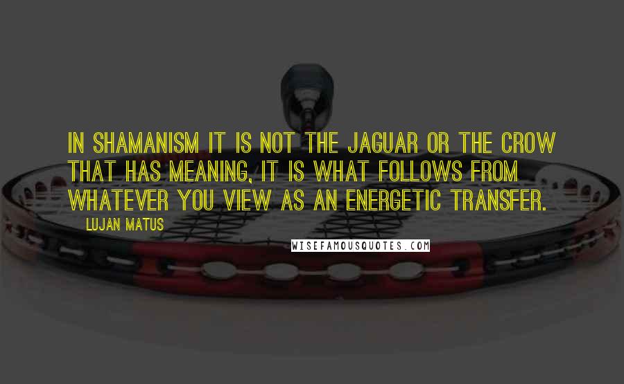 Lujan Matus Quotes: In shamanism it is not the jaguar or the crow that has meaning, it is what follows from whatever you view as an energetic transfer.