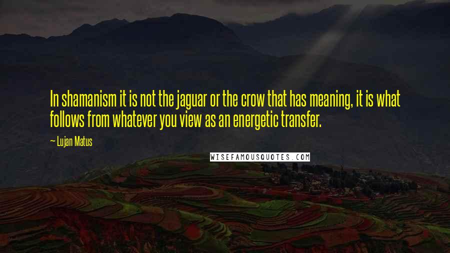 Lujan Matus Quotes: In shamanism it is not the jaguar or the crow that has meaning, it is what follows from whatever you view as an energetic transfer.