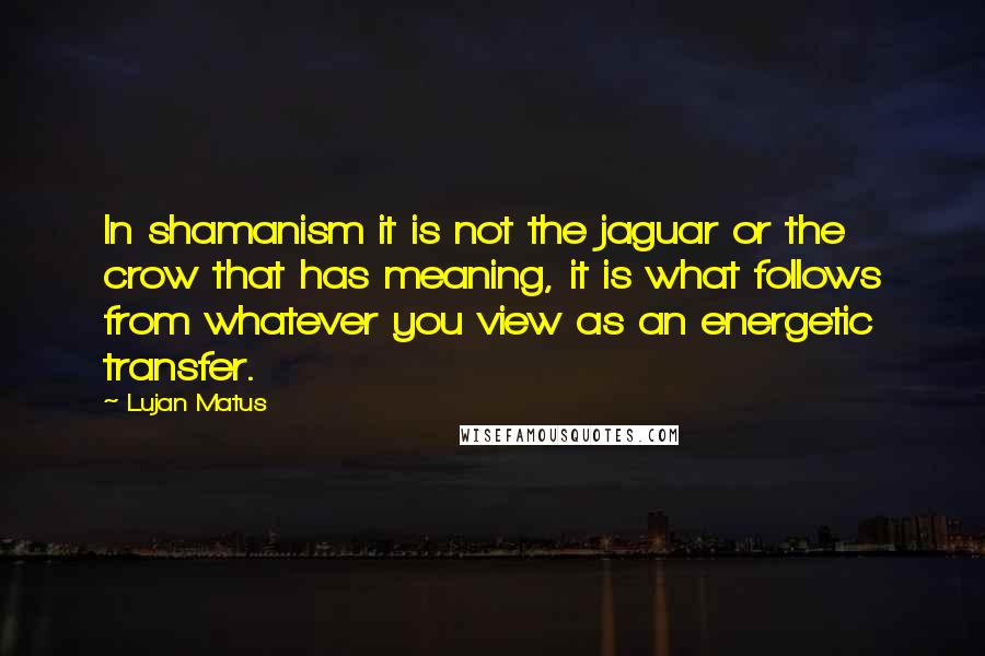 Lujan Matus Quotes: In shamanism it is not the jaguar or the crow that has meaning, it is what follows from whatever you view as an energetic transfer.