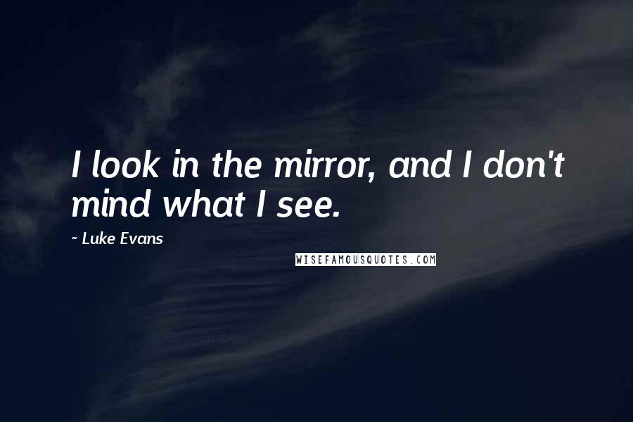 Luke Evans Quotes: I look in the mirror, and I don't mind what I see.