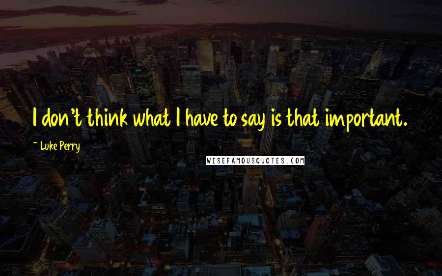 Luke Perry Quotes: I don't think what I have to say is that important.