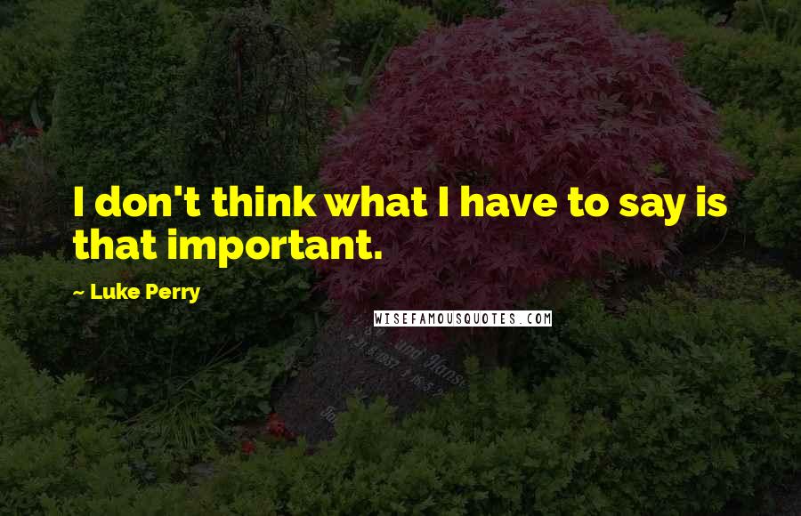 Luke Perry Quotes: I don't think what I have to say is that important.