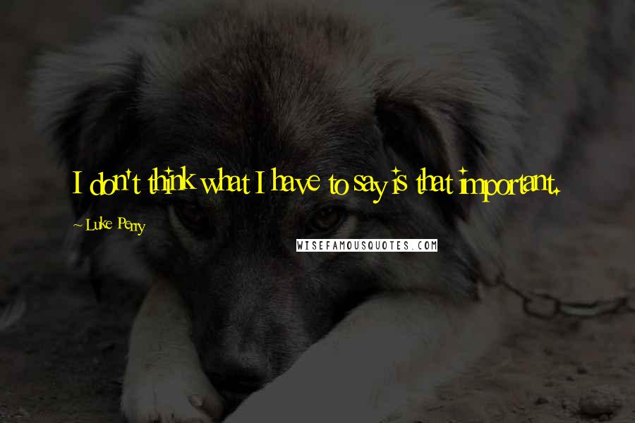 Luke Perry Quotes: I don't think what I have to say is that important.