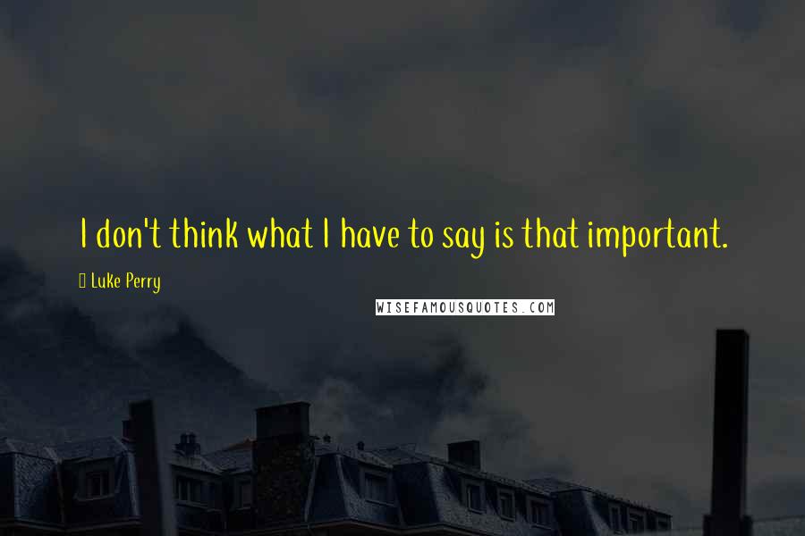 Luke Perry Quotes: I don't think what I have to say is that important.