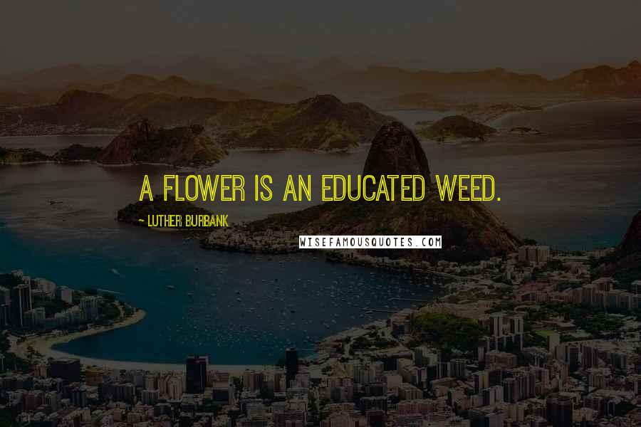 Luther Burbank Quotes: A flower is an educated weed.