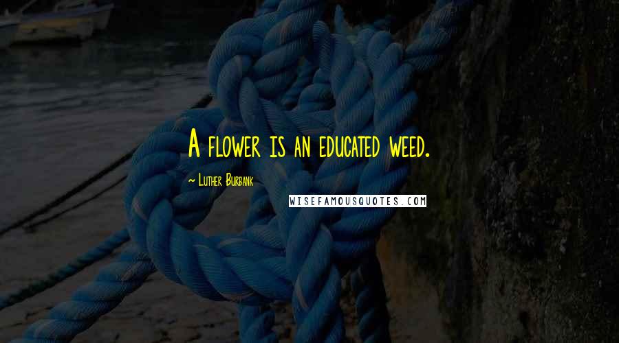 Luther Burbank Quotes: A flower is an educated weed.