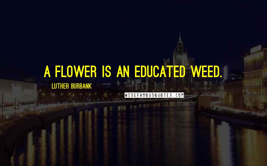 Luther Burbank Quotes: A flower is an educated weed.
