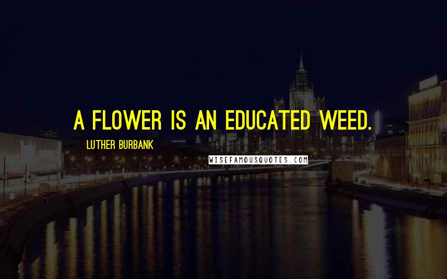 Luther Burbank Quotes: A flower is an educated weed.