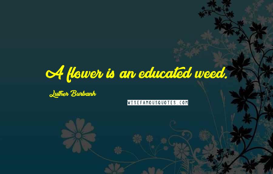 Luther Burbank Quotes: A flower is an educated weed.