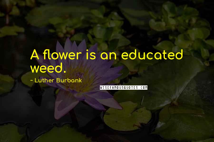 Luther Burbank Quotes: A flower is an educated weed.