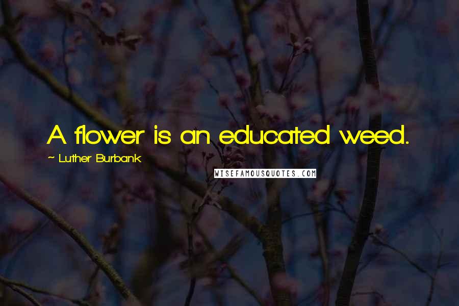 Luther Burbank Quotes: A flower is an educated weed.