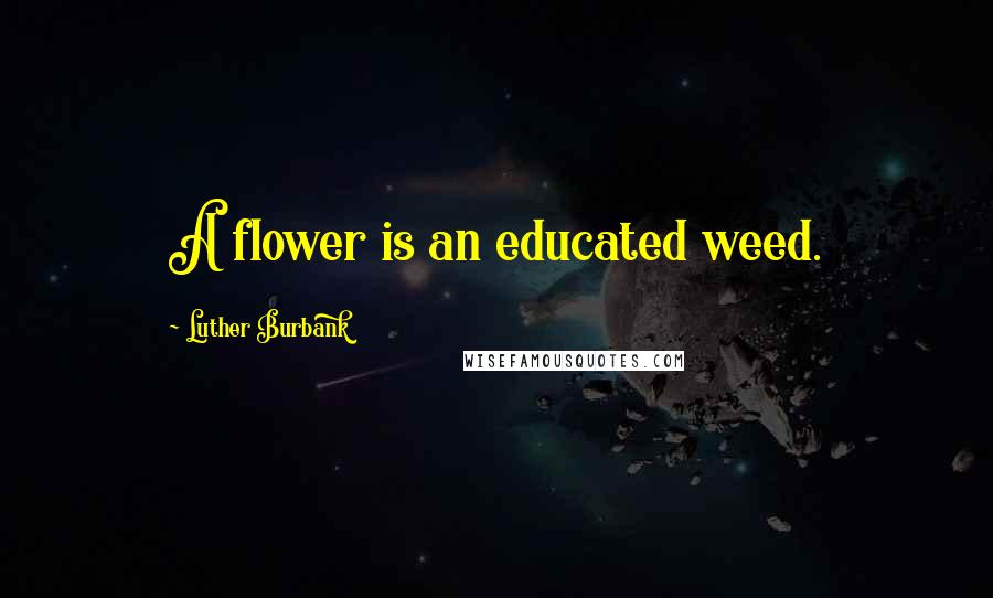 Luther Burbank Quotes: A flower is an educated weed.