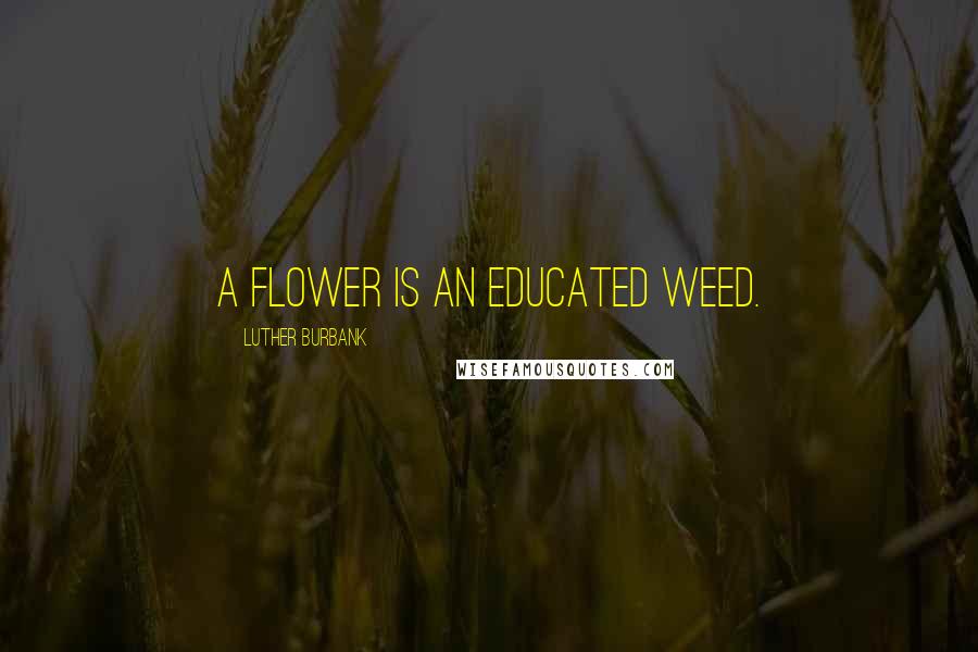 Luther Burbank Quotes: A flower is an educated weed.