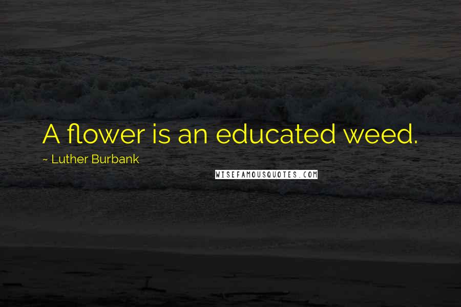 Luther Burbank Quotes: A flower is an educated weed.
