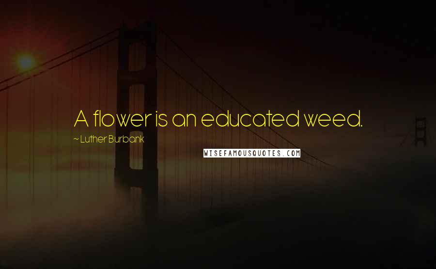 Luther Burbank Quotes: A flower is an educated weed.