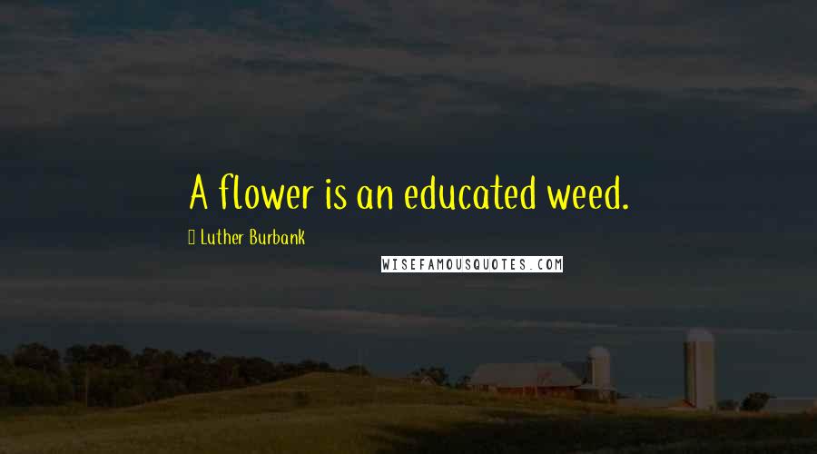 Luther Burbank Quotes: A flower is an educated weed.