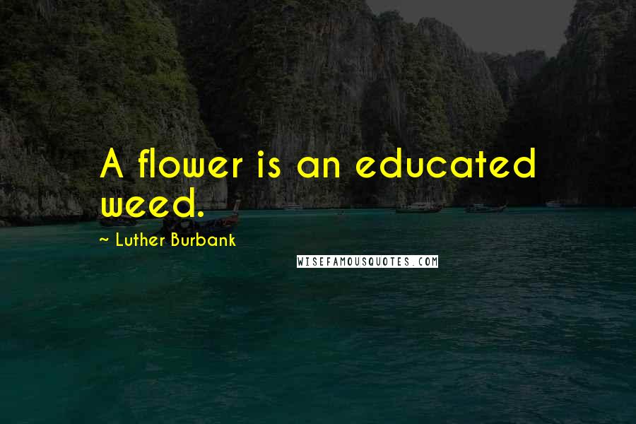 Luther Burbank Quotes: A flower is an educated weed.