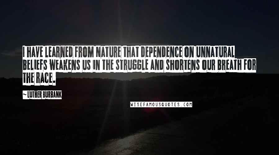 Luther Burbank Quotes: I have learned from Nature that dependence on unnatural beliefs weakens us in the struggle and shortens our breath for the race.