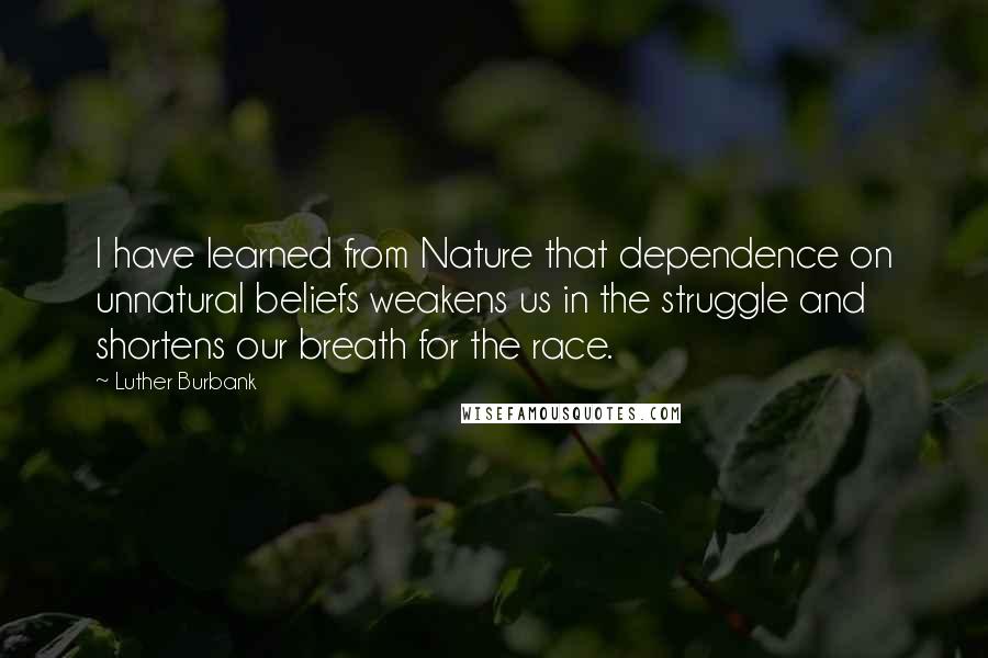 Luther Burbank Quotes: I have learned from Nature that dependence on unnatural beliefs weakens us in the struggle and shortens our breath for the race.