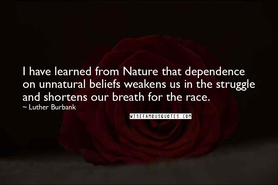 Luther Burbank Quotes: I have learned from Nature that dependence on unnatural beliefs weakens us in the struggle and shortens our breath for the race.