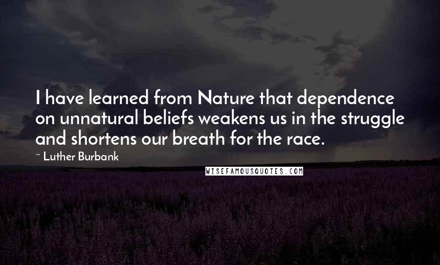 Luther Burbank Quotes: I have learned from Nature that dependence on unnatural beliefs weakens us in the struggle and shortens our breath for the race.