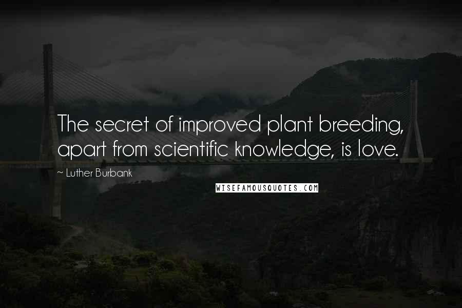 Luther Burbank Quotes: The secret of improved plant breeding, apart from scientific knowledge, is love.