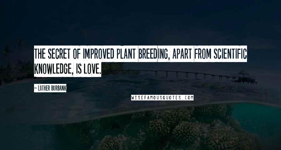 Luther Burbank Quotes: The secret of improved plant breeding, apart from scientific knowledge, is love.