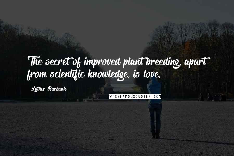 Luther Burbank Quotes: The secret of improved plant breeding, apart from scientific knowledge, is love.