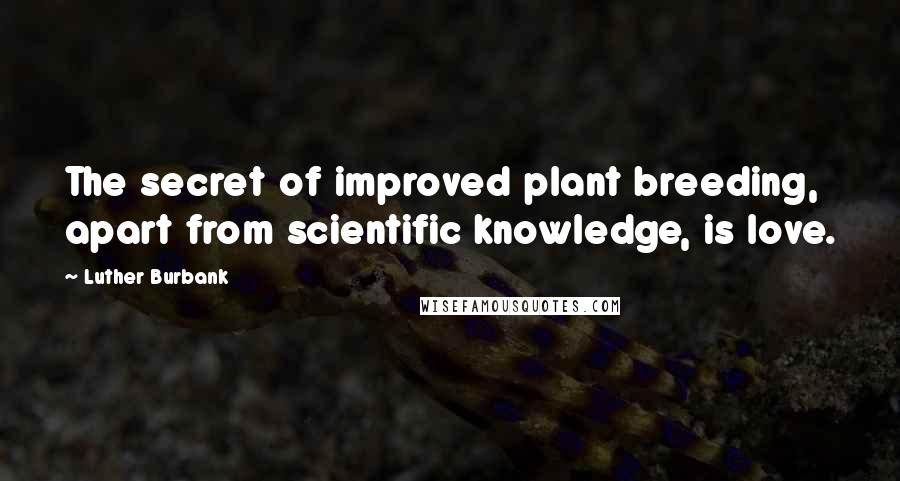 Luther Burbank Quotes: The secret of improved plant breeding, apart from scientific knowledge, is love.