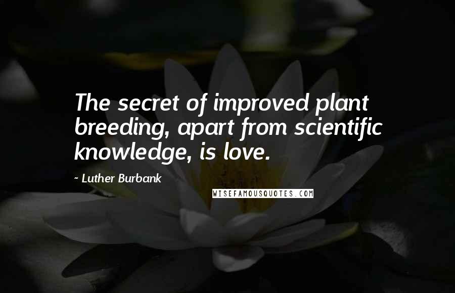 Luther Burbank Quotes: The secret of improved plant breeding, apart from scientific knowledge, is love.