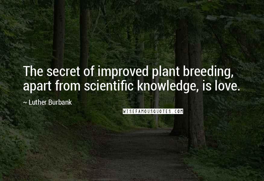 Luther Burbank Quotes: The secret of improved plant breeding, apart from scientific knowledge, is love.