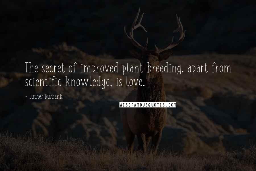 Luther Burbank Quotes: The secret of improved plant breeding, apart from scientific knowledge, is love.
