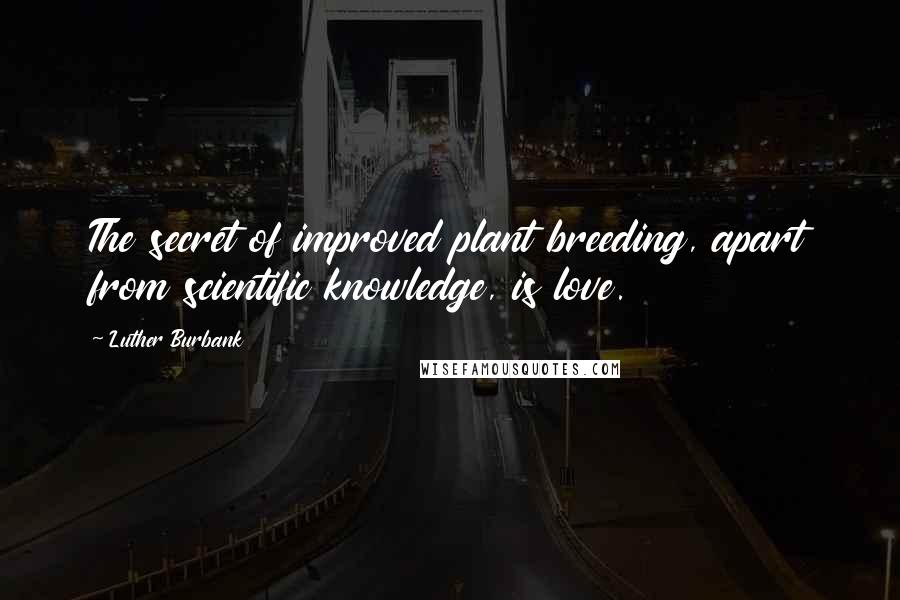 Luther Burbank Quotes: The secret of improved plant breeding, apart from scientific knowledge, is love.