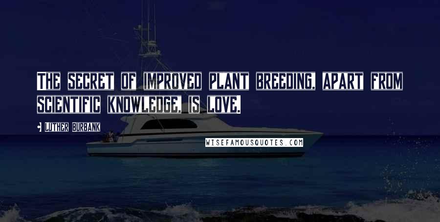 Luther Burbank Quotes: The secret of improved plant breeding, apart from scientific knowledge, is love.