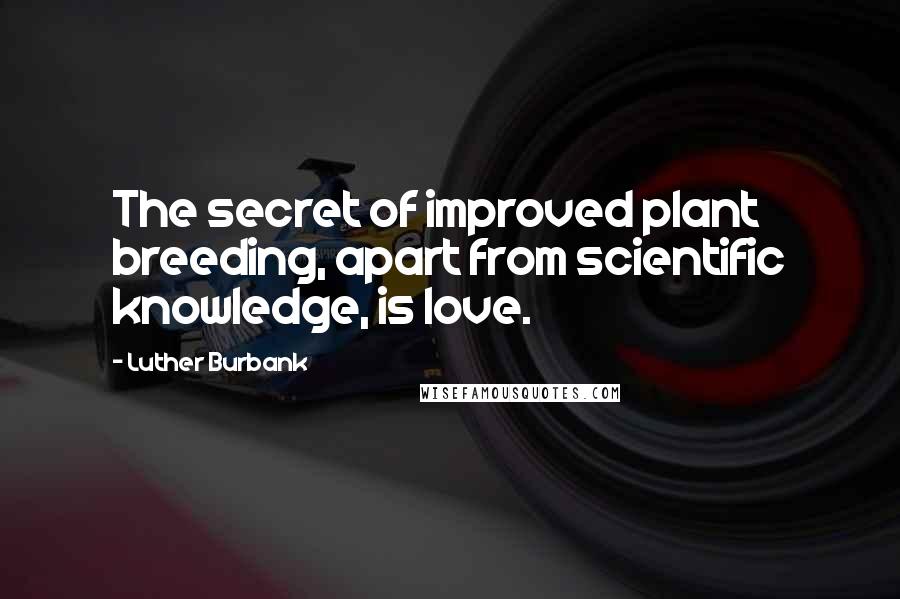 Luther Burbank Quotes: The secret of improved plant breeding, apart from scientific knowledge, is love.