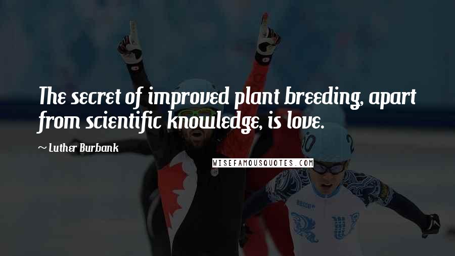 Luther Burbank Quotes: The secret of improved plant breeding, apart from scientific knowledge, is love.