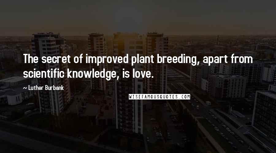 Luther Burbank Quotes: The secret of improved plant breeding, apart from scientific knowledge, is love.