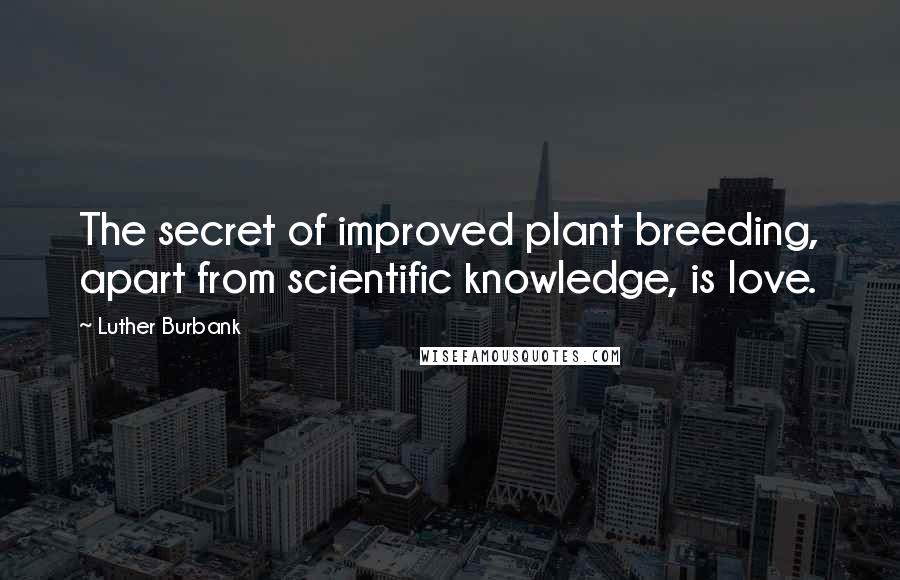 Luther Burbank Quotes: The secret of improved plant breeding, apart from scientific knowledge, is love.