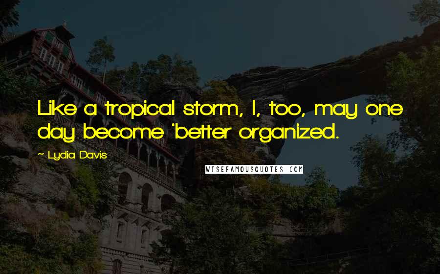 Lydia Davis Quotes: Like a tropical storm, I, too, may one day become 'better organized.