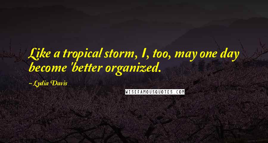 Lydia Davis Quotes: Like a tropical storm, I, too, may one day become 'better organized.