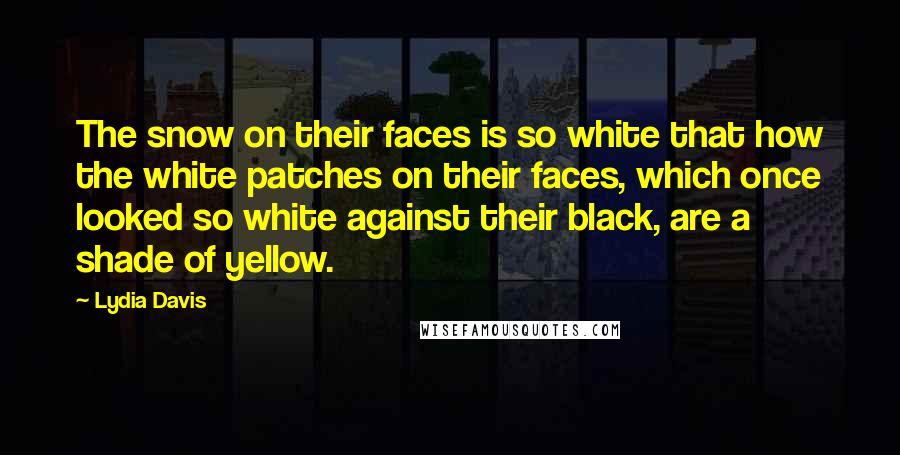 Lydia Davis Quotes: The snow on their faces is so white that how the white patches on their faces, which once looked so white against their black, are a shade of yellow.