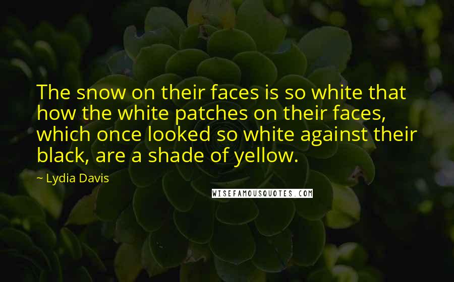 Lydia Davis Quotes: The snow on their faces is so white that how the white patches on their faces, which once looked so white against their black, are a shade of yellow.